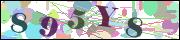 captcha_img
