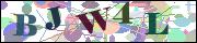 captcha_img
