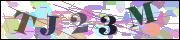 captcha_img
