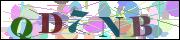 captcha_img