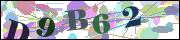 captcha_img